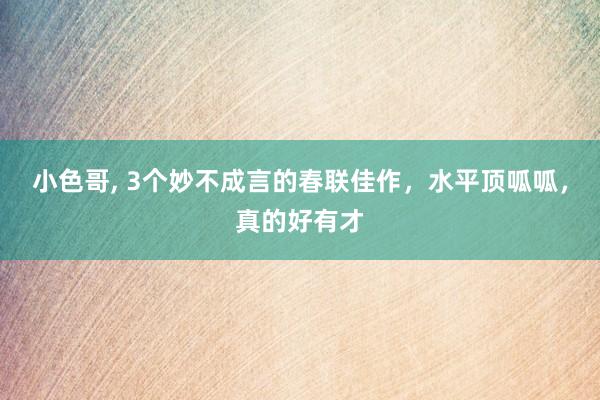 小色哥， 3个妙不成言的春联佳作，水平顶呱呱，真的好有才