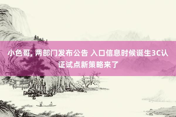 小色哥， 两部门发布公告 入口信息时候诞生3C认证试点新策略来了