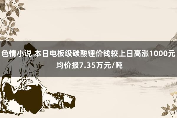 色情小说 本日电板级碳酸锂价钱较上日高涨1000元 均价报7.35万元/吨