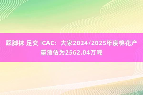 踩脚袜 足交 ICAC：大家2024/2025年度棉花产量预估为2562.04万吨