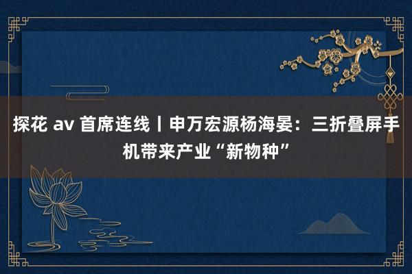 探花 av 首席连线丨申万宏源杨海晏：三折叠屏手机带来产业“新物种”