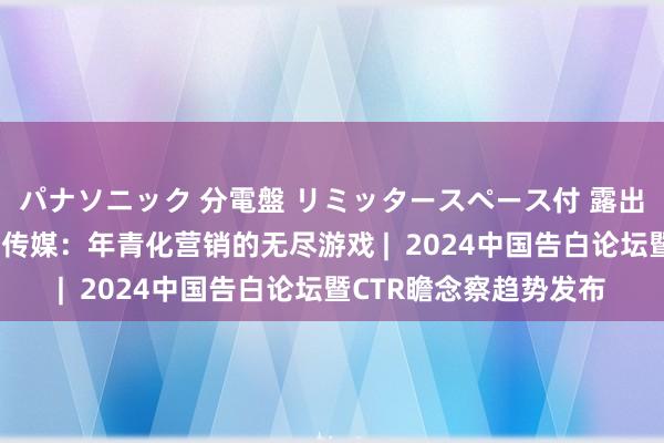 パナソニック 分電盤 リミッタースペース付 露出・半埋込両用形 网易传媒：年青化营销的无尽游戏 |  2024中国告白论坛暨CTR瞻念察趋势发布