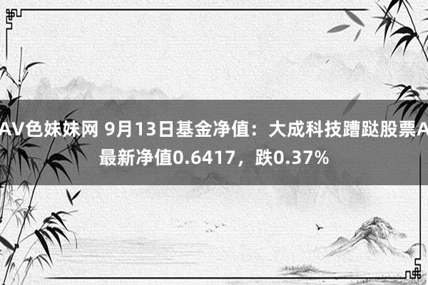 AV色妹妹网 9月13日基金净值：大成科技蹧跶股票A最新净值0.6417，跌0.37%