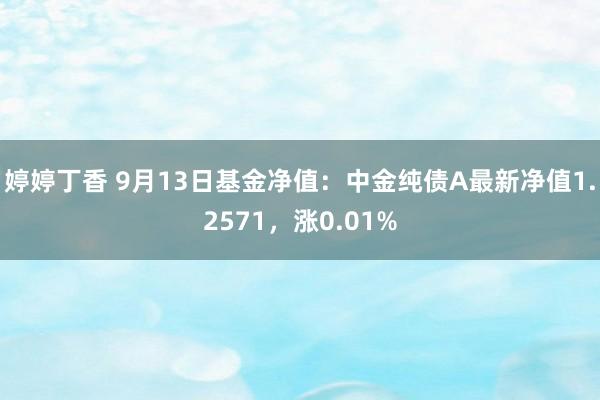 婷婷丁香 9月13日基金净值：中金纯债A最新净值1.2571，涨0.01%