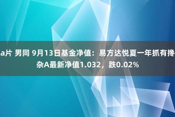 a片 男同 9月13日基金净值：易方达悦夏一年抓有搀杂A最新净值1.032，跌0.02%