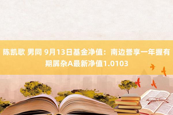 陈凯歌 男同 9月13日基金净值：南边誉享一年握有期羼杂A最新净值1.0103