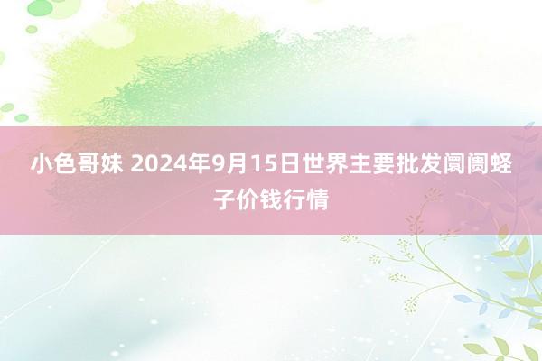 小色哥妹 2024年9月15日世界主要批发阛阓蛏子价钱行情