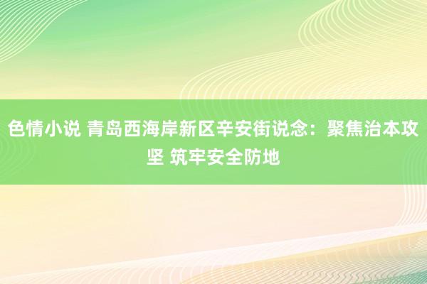 色情小说 青岛西海岸新区辛安街说念：聚焦治本攻坚 筑牢安全防地