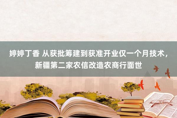 婷婷丁香 从获批筹建到获准开业仅一个月技术，新疆第二家农信改造农商行面世