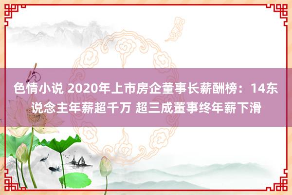 色情小说 2020年上市房企董事长薪酬榜：14东说念主年薪超千万 超三成董事终年薪下滑