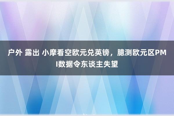 户外 露出 小摩看空欧元兑英镑，臆测欧元区PMI数据令东谈主失望