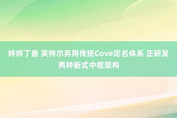 婷婷丁香 英特尔弃用传统Cove定名体系 正研发两种新式中枢架构