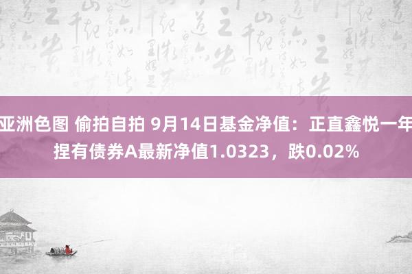 亚洲色图 偷拍自拍 9月14日基金净值：正直鑫悦一年捏有债券A最新净值1.0323，跌0.02%