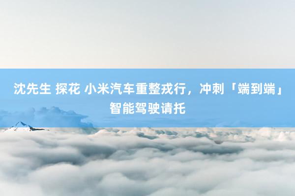 沈先生 探花 小米汽车重整戎行，冲刺「端到端」智能驾驶请托