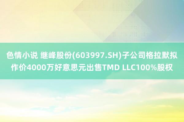 色情小说 继峰股份(603997.SH)子公司格拉默拟作价4000万好意思元出售TMD LLC100%股权