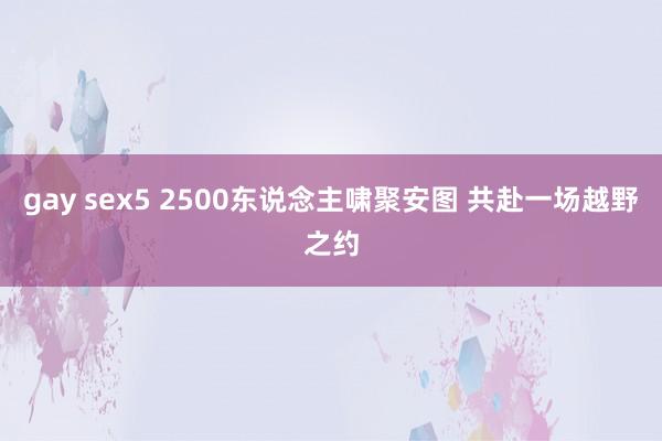 gay sex5 2500东说念主啸聚安图 共赴一场越野之约