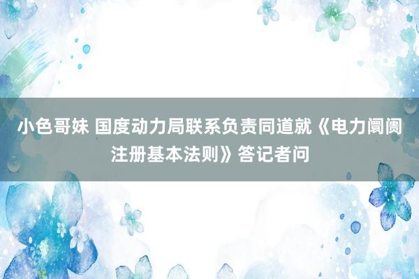 小色哥妹 国度动力局联系负责同道就《电力阛阓注册基本法则》答记者问