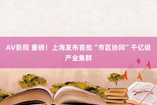 AV影院 重磅！上海发布首批“市区协同”千亿级产业集群