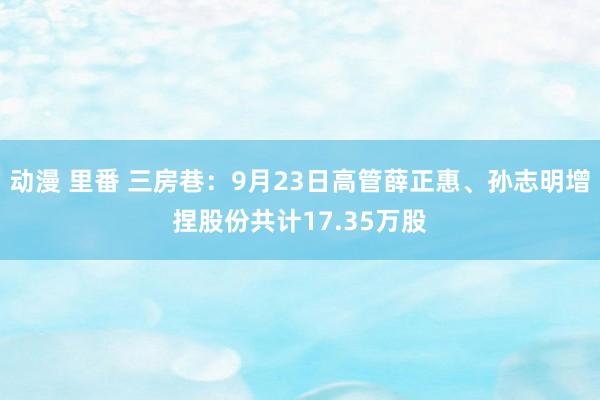 动漫 里番 三房巷：9月23日高管薛正惠、孙志明增捏股份共计17.35万股