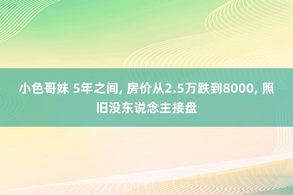 小色哥妹 5年之间， 房价从2.5万跌到8000， 照旧没东说念主接盘