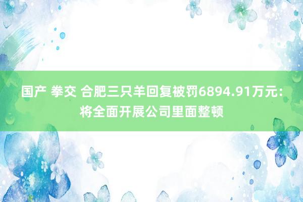 国产 拳交 合肥三只羊回复被罚6894.91万元：将全面开展公司里面整顿