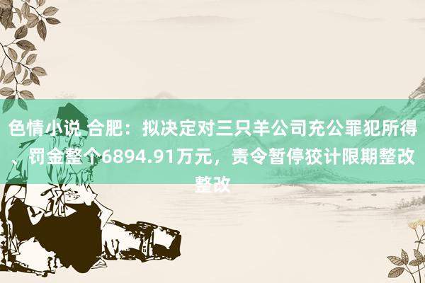 色情小说 合肥：拟决定对三只羊公司充公罪犯所得、罚金整个6894.91万元，责令暂停狡计限期整改