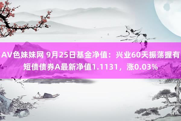 AV色妹妹网 9月25日基金净值：兴业60天振荡握有短债债券A最新净值1.1131，涨0.03%