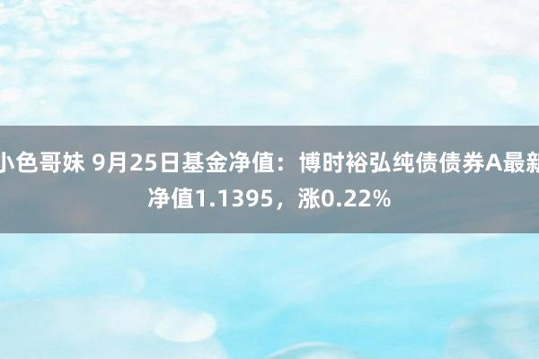 小色哥妹 9月25日基金净值：博时裕弘纯债债券A最新净值1.1395，涨0.22%