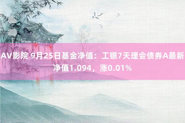 AV影院 9月25日基金净值：工银7天理会债券A最新净值1.094，涨0.01%