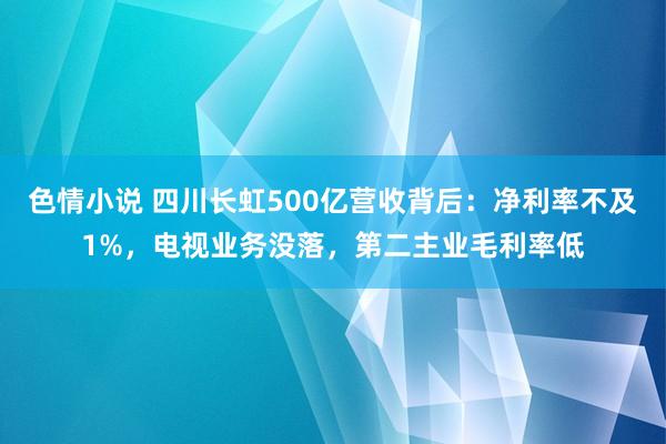 色情小说 四川长虹500亿营收背后：净利率不及1%，电视业务没落，第二主业毛利率低