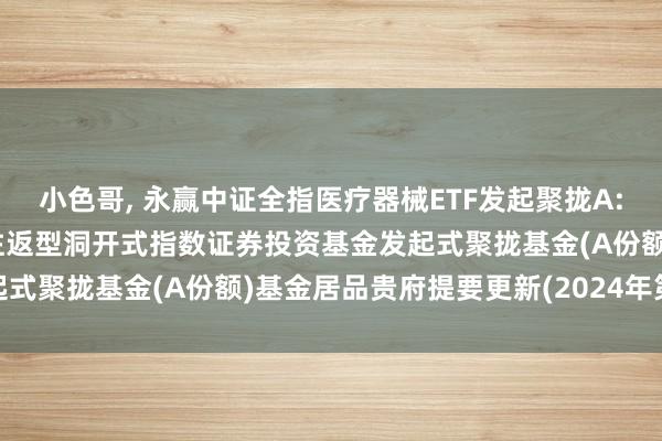 小色哥， 永赢中证全指医疗器械ETF发起聚拢A: 永赢中证全指医疗器械往返型洞开式指数证券投资基金发起式聚拢基金(A份额)基金居品贵府提要更新(2024年第2号)