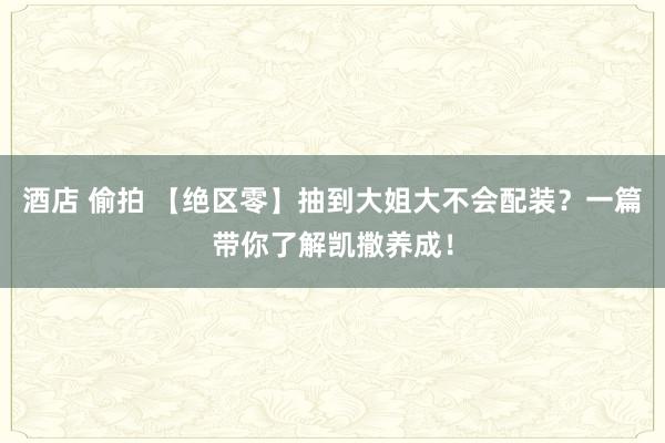 酒店 偷拍 【绝区零】抽到大姐大不会配装？一篇带你了解凯撒养成！