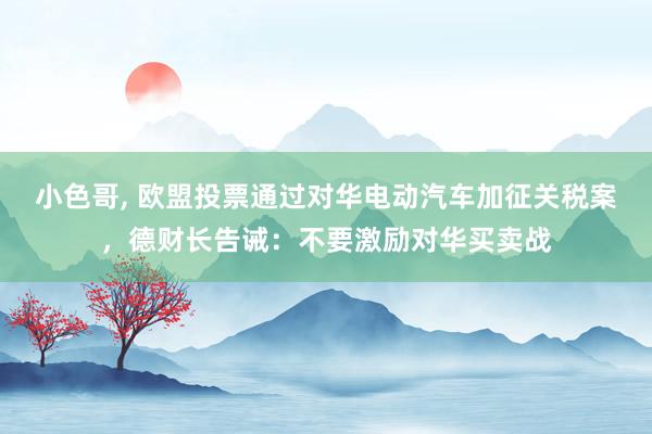 小色哥， 欧盟投票通过对华电动汽车加征关税案，德财长告诫：不要激励对华买卖战