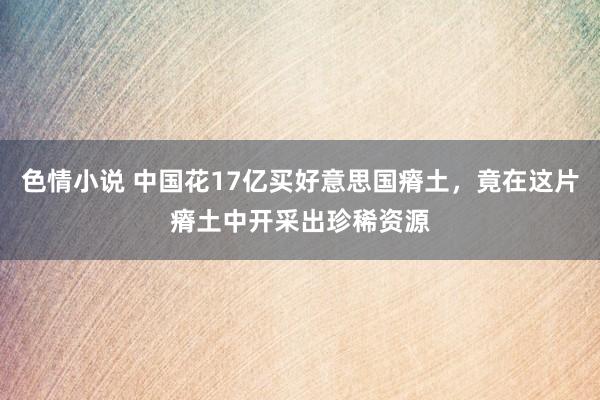 色情小说 中国花17亿买好意思国瘠土，竟在这片瘠土中开采出珍稀资源