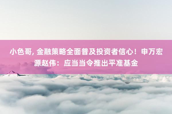 小色哥， 金融策略全面普及投资者信心！申万宏源赵伟：应当当令推出平准基金