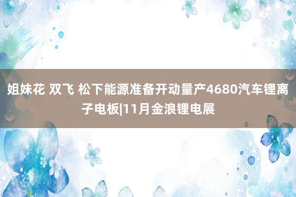 姐妹花 双飞 松下能源准备开动量产4680汽车锂离子电板|11月金浪锂电展