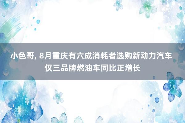 小色哥， 8月重庆有六成消耗者选购新动力汽车 仅三品牌燃油车同比正增长