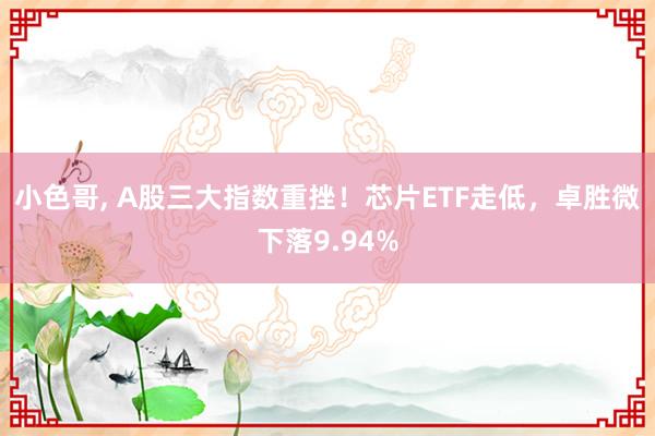 小色哥， A股三大指数重挫！芯片ETF走低，卓胜微下落9.94%