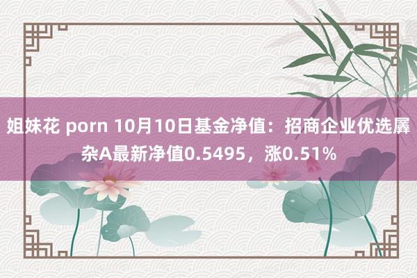 姐妹花 porn 10月10日基金净值：招商企业优选羼杂A最新净值0.5495，涨0.51%