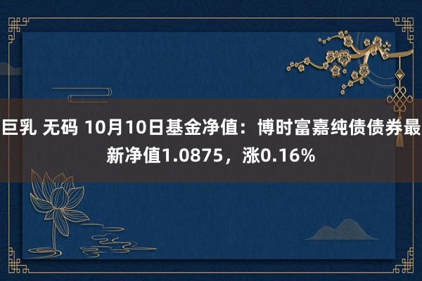 巨乳 无码 10月10日基金净值：博时富嘉纯债债券最新净值1.0875，涨0.16%