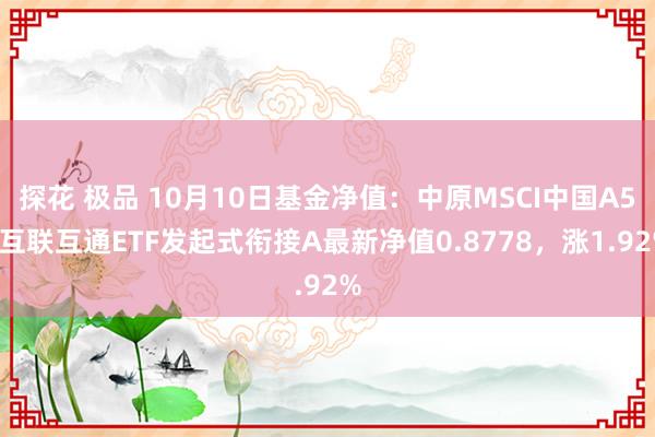 探花 极品 10月10日基金净值：中原MSCI中国A50互联互通ETF发起式衔接A最新净值0.8778，涨1.92%