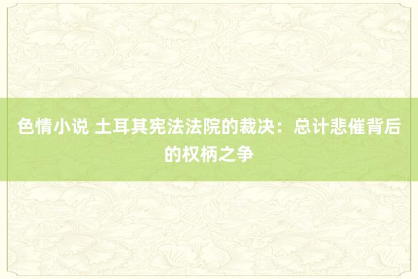 色情小说 土耳其宪法法院的裁决：总计悲催背后的权柄之争