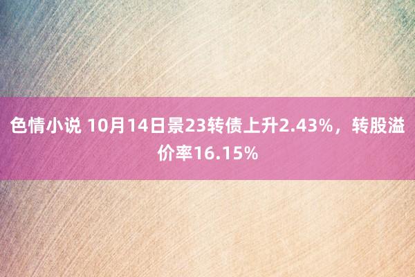 色情小说 10月14日景23转债上升2.43%，转股溢价率16.15%