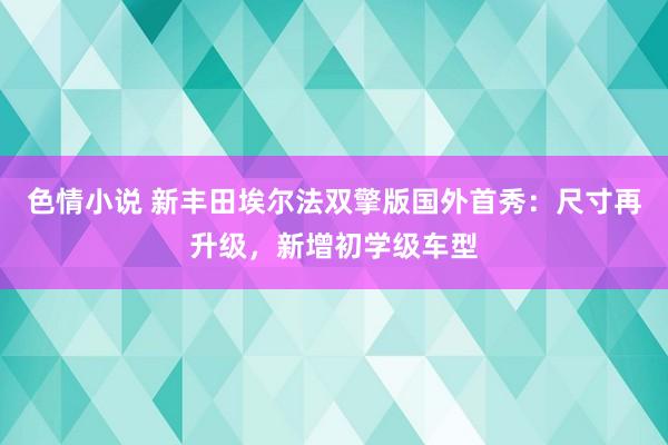 色情小说 新丰田埃尔法双擎版国外首秀：尺寸再升级，新增初学级车型