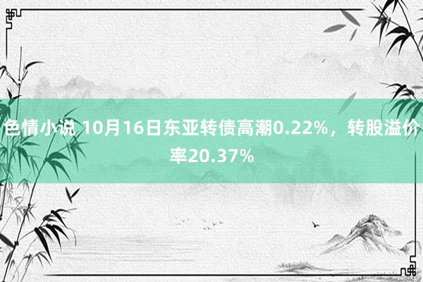 色情小说 10月16日东亚转债高潮0.22%，转股溢价率20.37%