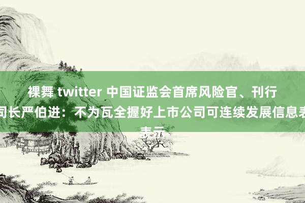 裸舞 twitter 中国证监会首席风险官、刊行司司长严伯进：不为瓦全握好上市公司可连续发展信息表示