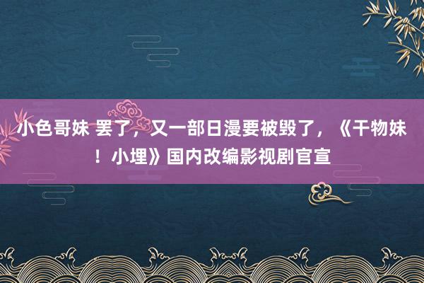 小色哥妹 罢了，又一部日漫要被毁了，《干物妹！小埋》国内改编影视剧官宣