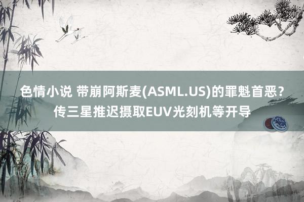 色情小说 带崩阿斯麦(ASML.US)的罪魁首恶？传三星推迟摄取EUV光刻机等开导