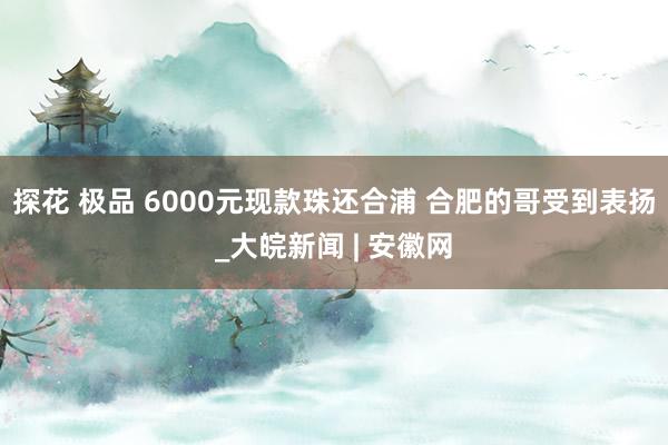 探花 极品 6000元现款珠还合浦 合肥的哥受到表扬_大皖新闻 | 安徽网