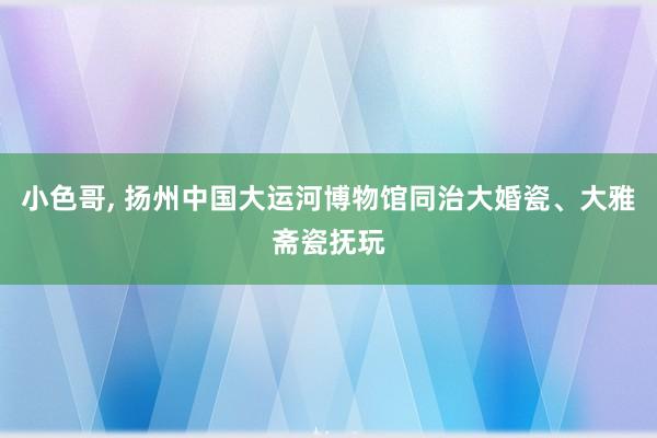 小色哥， 扬州中国大运河博物馆同治大婚瓷、大雅斋瓷抚玩